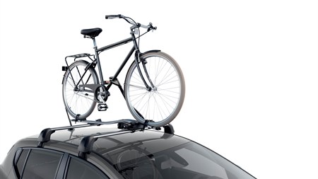 Dacia sandero stepway online bike rack